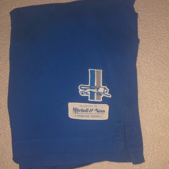 DETROIT NFL LIONS AUTHENTIC THICK WARM SWEATER MITCHELL&NESS 1953 LOGO MEDIUM - Picture 11 of 12